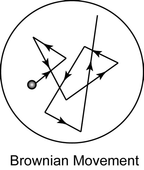 Kuvatulokset haulle brownian motion