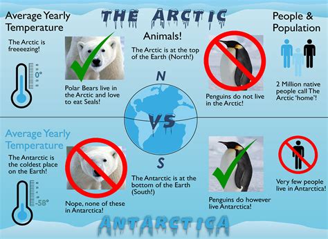 Arctic vs antarctic - Google Search | Antarctica, Antarctic, Arctic