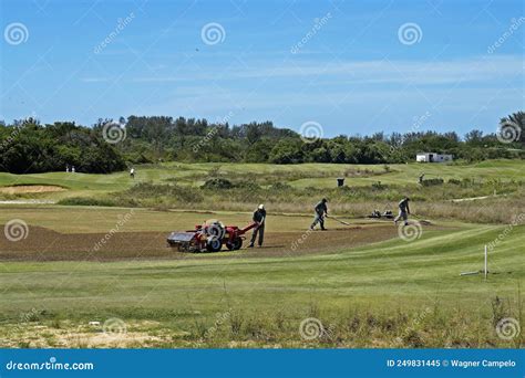 Golf Course Maintenance Workers. Rio Olympic Golf Course in Barra Da ...