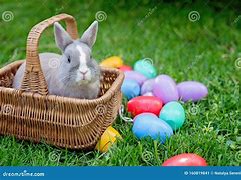 Image result for Easter Bunny with Egg Basket