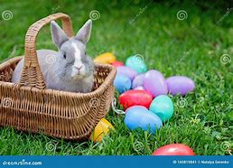 Image result for Mosser Easter Bunny with Egg