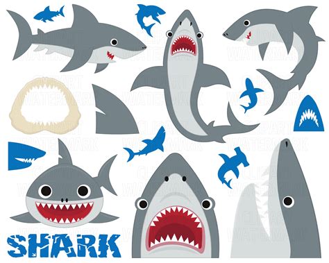 Colorful shark clipart Instant Download SVG and PNG Sharks clipart Cute ...