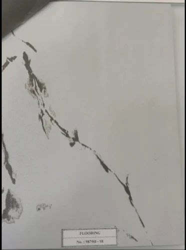 PVC Flooring - Vinyl Flooring Sheet Trader - Wholesaler / Distributor ...