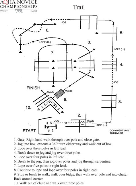In Hand Trail Patterns 的图像结果