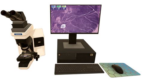 OneLab VR: Practice Environment Scenario | OneLab REACH
