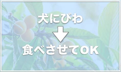 Image result for Cap CodeModel