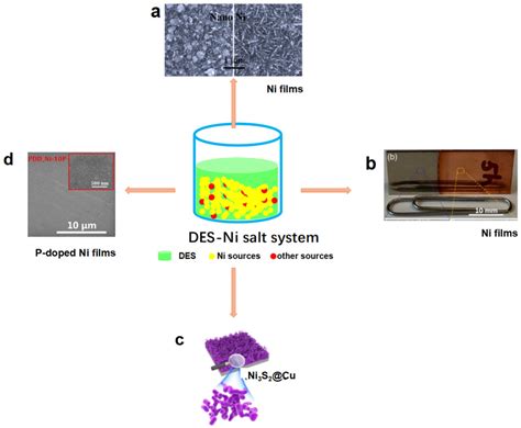 Deep Eutectic Solvent-Mediated Electrocatalysts for Water Splitting
