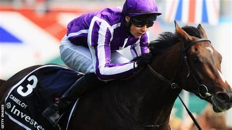 Camelot triumphs in Irish Derby | Derby, Horse racing, Derby winners