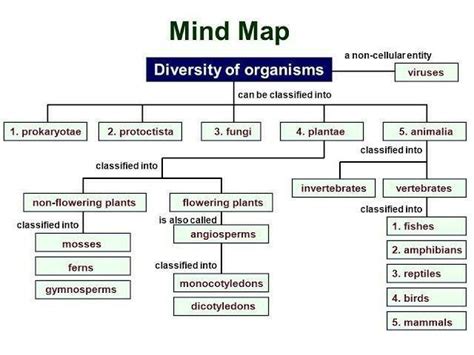 Hey people, really need a mind map of diversity class 9… - Brainly.in