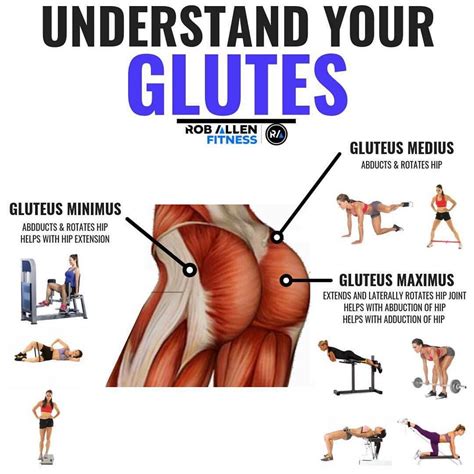 what exercise works the gluteus maximus
