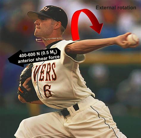 Baseball Pitcher External Rotation 的图像结果