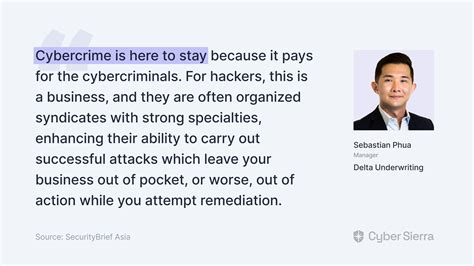 Image result for Cyber Security Insurance Explained