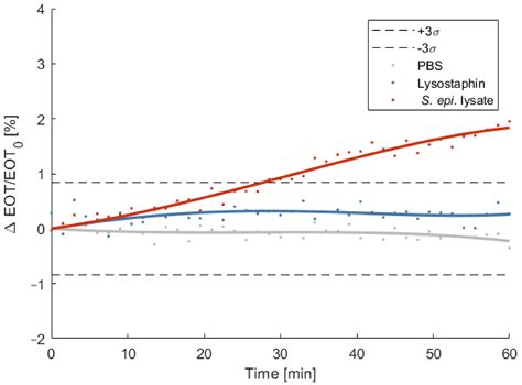 Porous Silicon Biosensor for the Detection of Bacteria through Their Lysate
