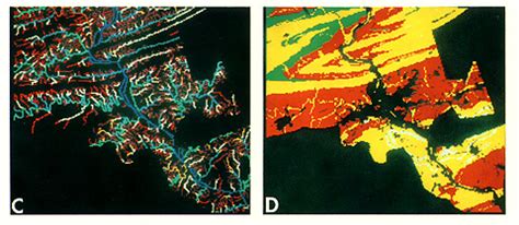 Remote Sensing @ CES
