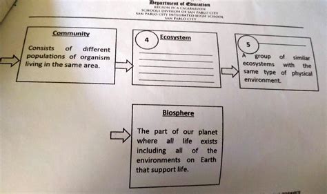 Graphic Organizer Examples Brainly at Julie Solberg blog