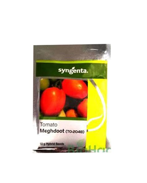 Syngenta Syngenta Meghdoot 2048 F1 Tomato (3500 Seeds) - Agrostar