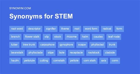 Another word for STEM > Synonyms & Antonyms