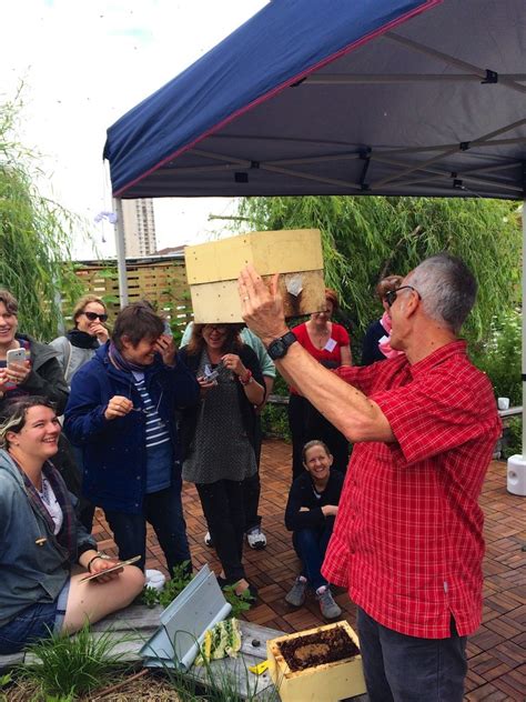 Image result for Tim Heard Native Bees