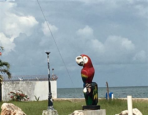 CALYPSO TRAIN TOUR (2025) All You Need to Know BEFORE You Go (with ...