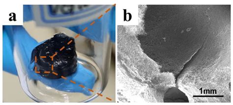 Preparation and Electrochemical Performance of Three-Dimensional ...