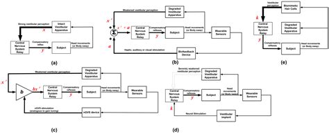 Exploring the Potentials of Wearable Technologies in Managing ...