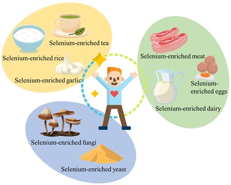 Image result for Selenium Food Sources