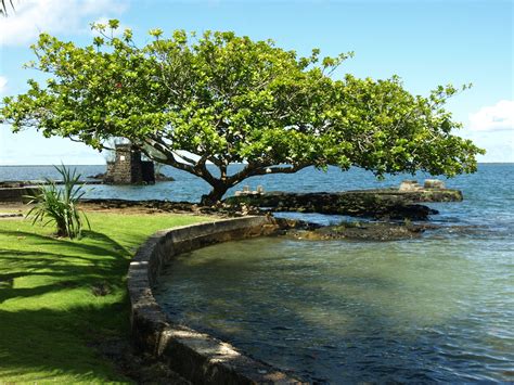 Carpet Isle Hilo Hawaii at Jose Watson blog