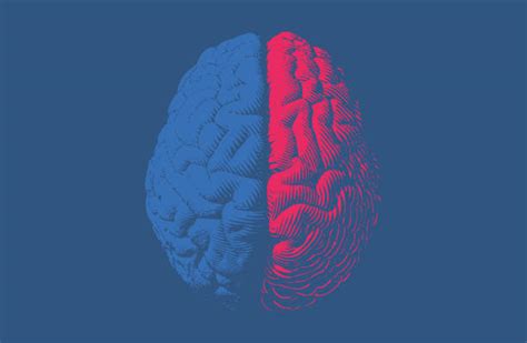 Image result for Mind Exploding Back Cover