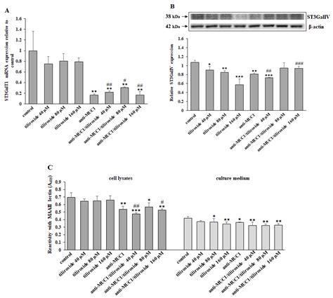 Tiliroside Combined with Anti-MUC1 Monoclonal Antibody as Promising ...