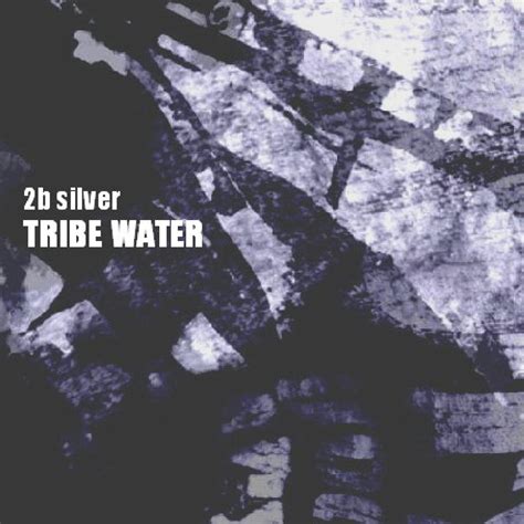 Tribe Water: 2B Silver: Amazon.in: Music}
