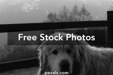 Landscape Animation 的图像结果