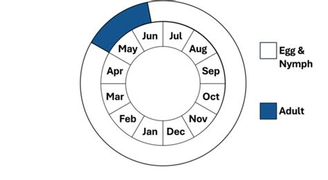 Ebony Boghaunter | Mass.gov