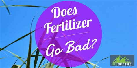 Does Fertilizer Go Bad (How Long It Lasts and How to Tell)