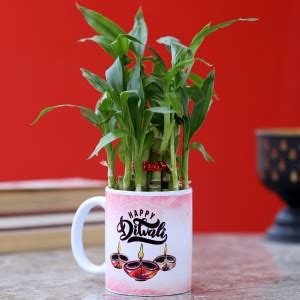 FNP Two Layer Bamboo Plant Price in India - Buy FNP Two Layer Bamboo ...