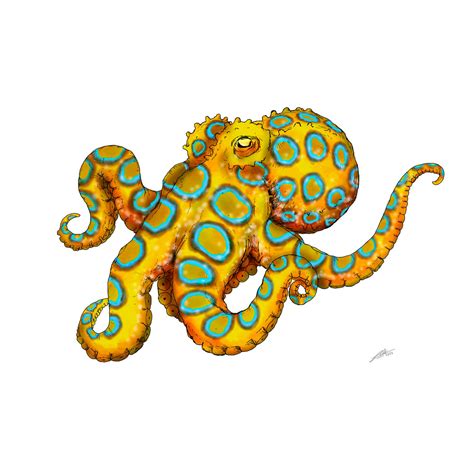 Image result for Blue-Ringed Octopus Human Form