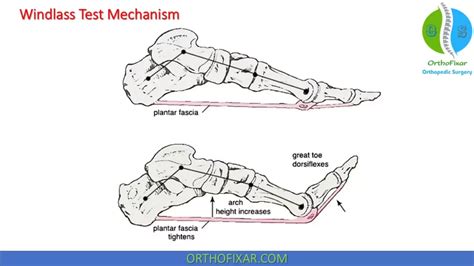 Image result for Basic HTML Projects for Text