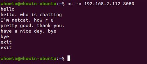 TCP Client Code C 的图像结果