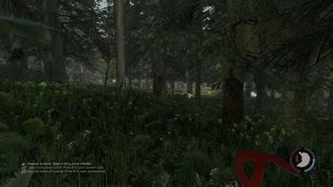 yiffing.in - Gallery: the_forest