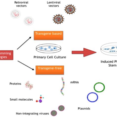Reprogramming Cells 的图像结果