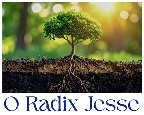 Daily Catholic Lectio. Fri, 19 December ’25. Come, Root of Jesse – Yesu ...