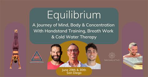 Equilibrium Computer 的图像结果