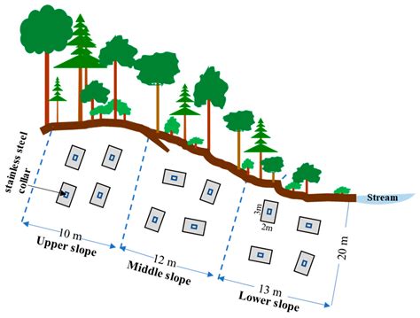 Spatial Variations of Soil N2 and N2O Emissions from a Temperate Forest ...