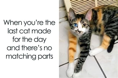 Image result for Script Writing Documentation Example