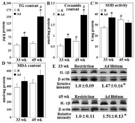 Unrestricted Feed Intake Induces β-Cell Death and Impairs Insulin ...