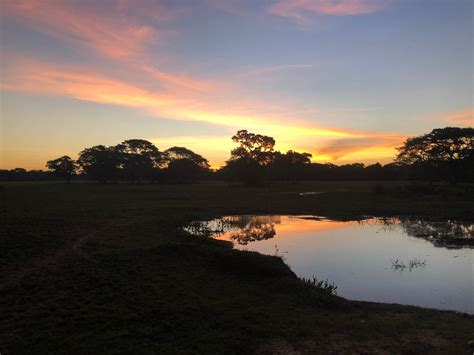 JAGUAR ECOTOURISM (2026) All You Need to Know BEFORE You Go (with ...