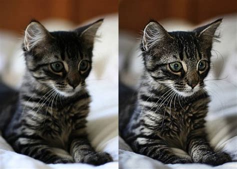 Image result for Photoshop Tutorials for Beginners