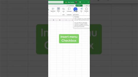 Image result for Excel Checkbox Feature