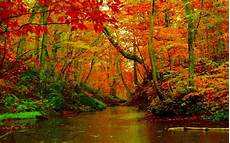 Desktop Images by Autumn Forest River Desktop Background Hd Wallpapers 1560 Desktop Images