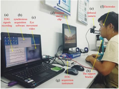 Automatic Emotion Perception Using Eye Movement Information for E ...