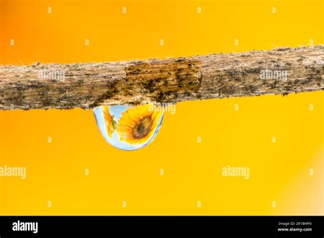 Image result for Raindrop Refraction